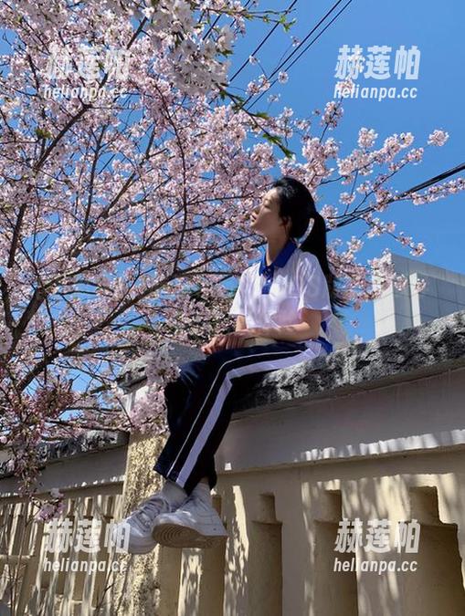 吃瓜导航发布iOS版本吃瓜导航娱乐新体验