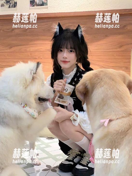 如何快速访问黑料不打烊地址首页iOS客户端