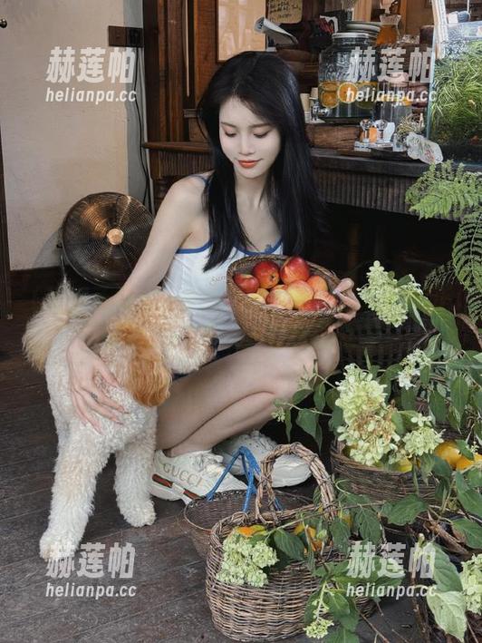 想要更新？历史查找黑料正能量入口下载安装步骤分享